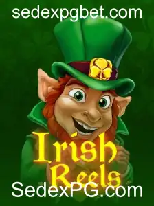 Descubra o Fascinante Mundo de 'IrishReels'